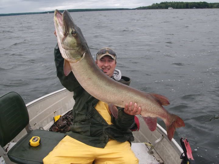 Pigeon Lake Fishing Forum Niagara Fishing Forum